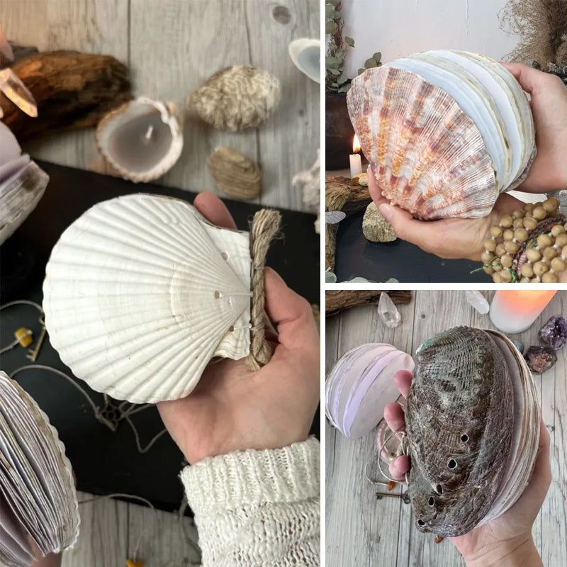 Abalone Shell/Lion’s Paw Shell/Scallop Shell Journal